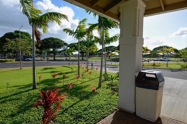 th DSC1434 th DSC1434