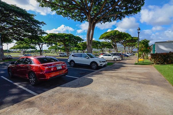 th DSC1430 th DSC1430