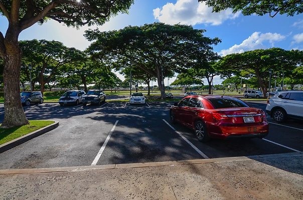 th DSC1429 th DSC1429