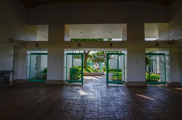 th DSC1387 th DSC1387