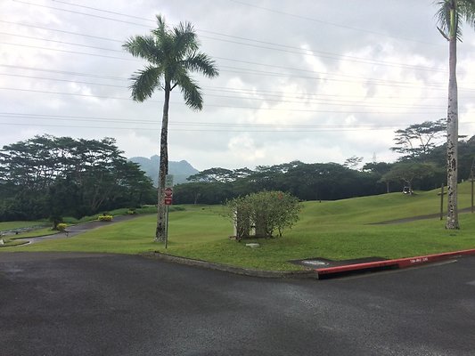 HI50 S5 2015-01-29 13.55.35 HI50 S5 2015-01-29 13.55.35