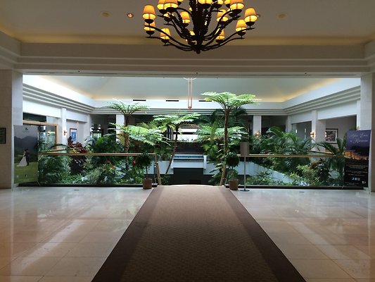 HI50 S5 2015-01-29 14.00.15 HI50 S5 2015-01-29 14.00.15