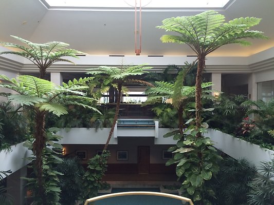 HI50 S5 2015-01-29 14.01.05 HI50 S5 2015-01-29 14.01.05