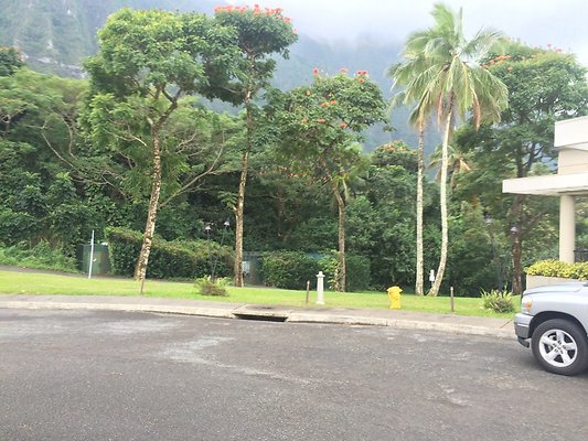 HI50 S5 2015-01-29 14.12.14 HI50 S5 2015-01-29 14.12.14