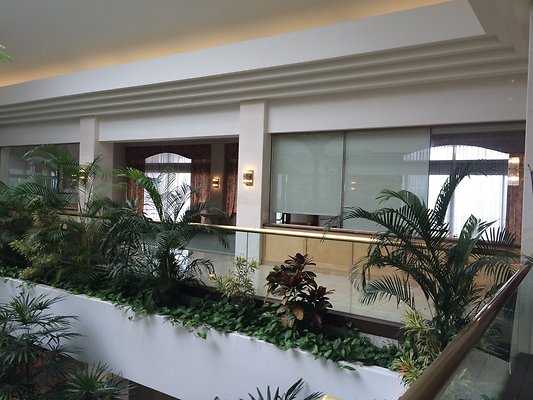 HI50 S5 2015-01-29 14.01.07 HI50 S5 2015-01-29 14.01.07