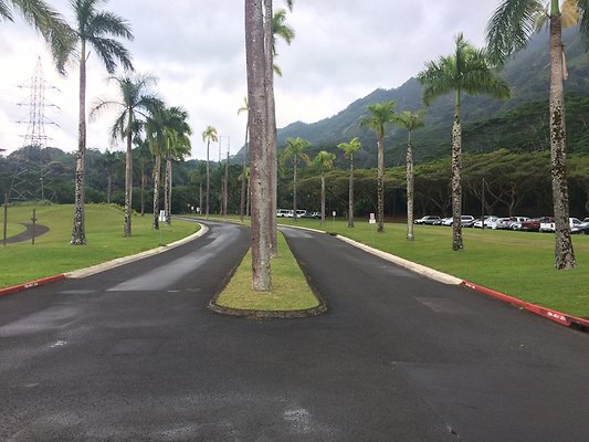 HI50 S5 2015-01-29 13.55.41 HI50 S5 2015-01-29 13.55.41