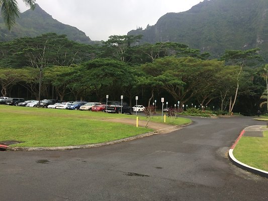 HI50 S5 2015-01-29 13.55.44 HI50 S5 2015-01-29 13.55.44