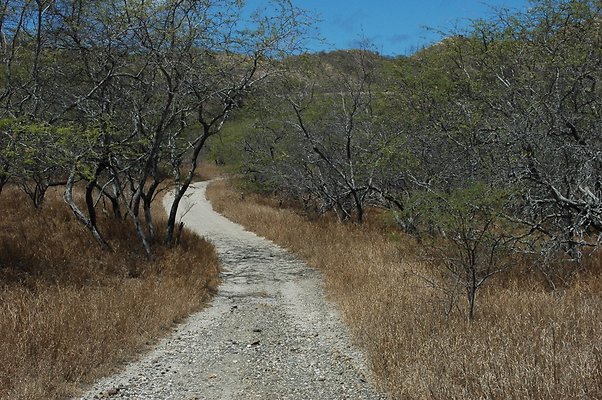Diamond Head Crater DLNR Back Roads