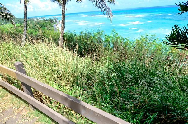 Kualoa Ranch - Battery Cooper:Kissing Gorillas:Kong copter