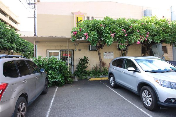 Kakaako Kamaka Hawaii 550 South Street Fred Kamaka 808.531.3165