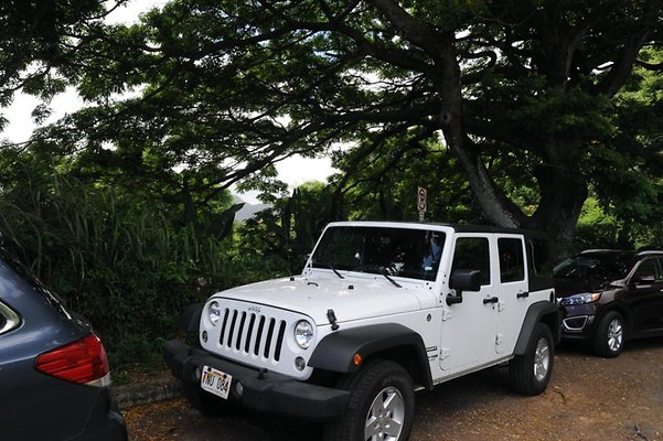 Pali Hwy Scenic Overlook Kaneohe side of tunnels