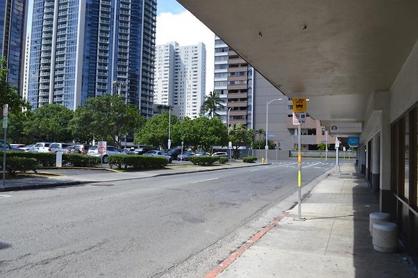 th DSC 0338 th DSC 0338