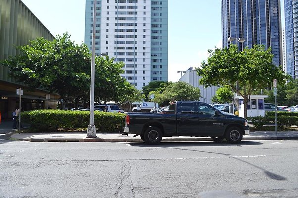 th DSC 0337 th DSC 0337