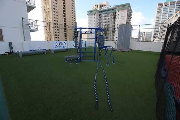 th IMG 1445 th IMG 1445