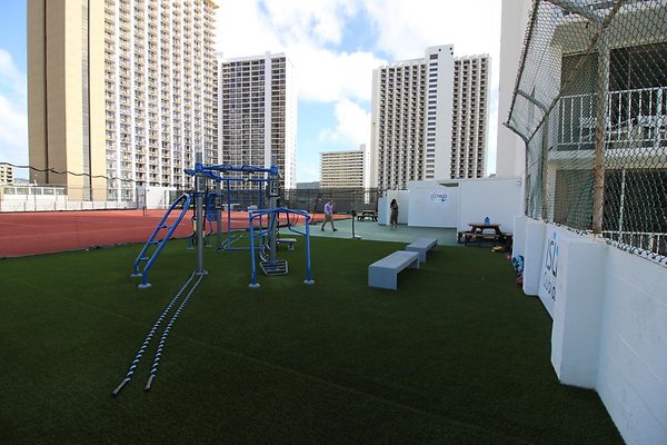 th IMG 1447 th IMG 1447