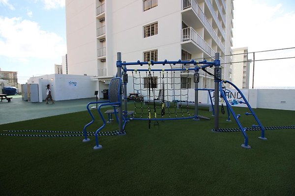 th IMG 1446 th IMG 1446