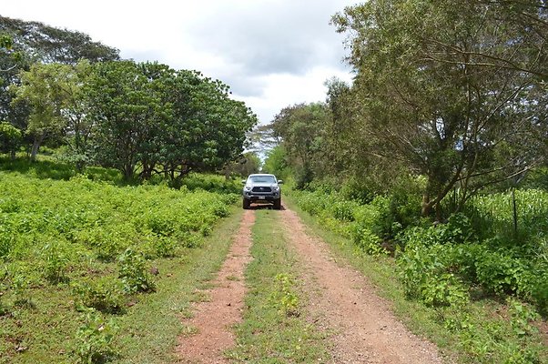 th DSC 0150 th DSC 0150