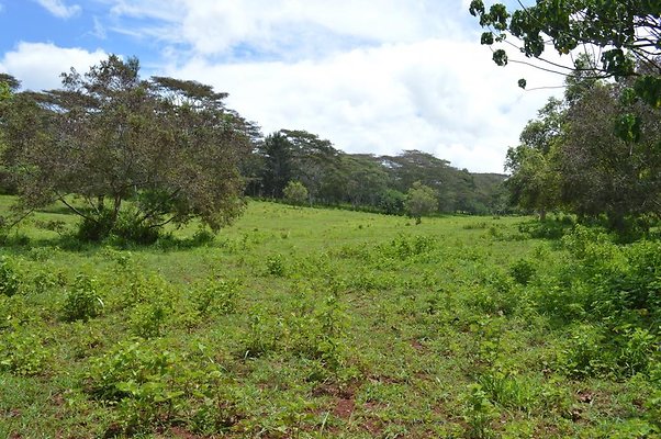 th DSC 0147 th DSC 0147