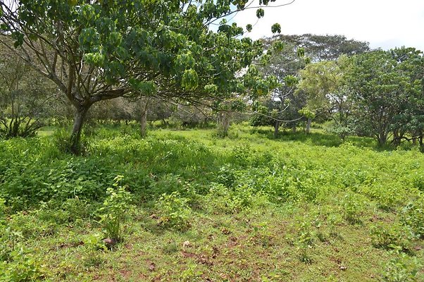 th DSC 0148 th DSC 0148