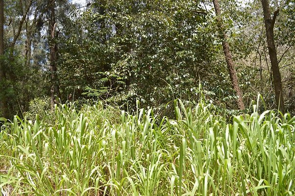 th DSC 0189 th DSC 0189