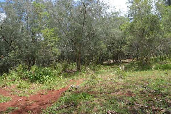 th DSC 0167 th DSC 0167