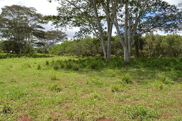 th DSC 0154 th DSC 0154