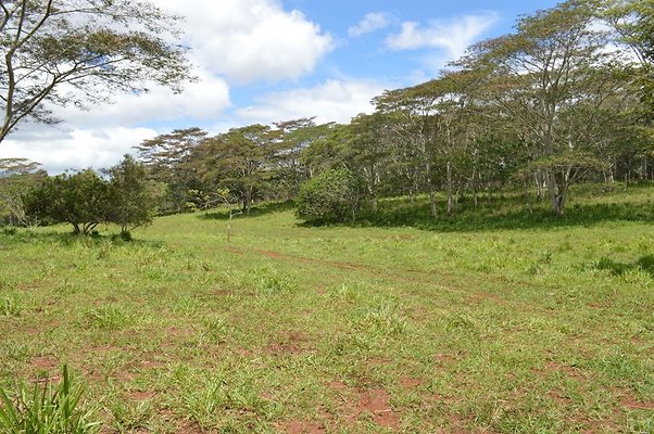 th DSC 0156 th DSC 0156