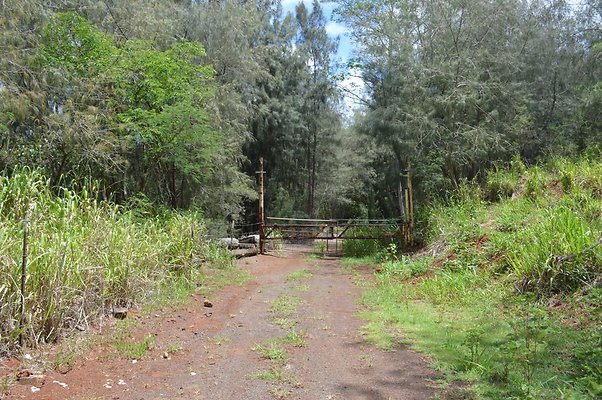 th DSC 0165 th DSC 0165