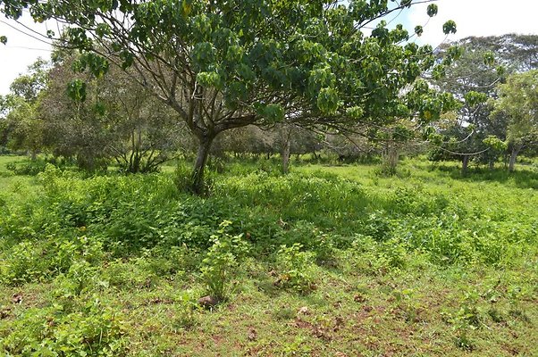 th DSC 0149 th DSC 0149