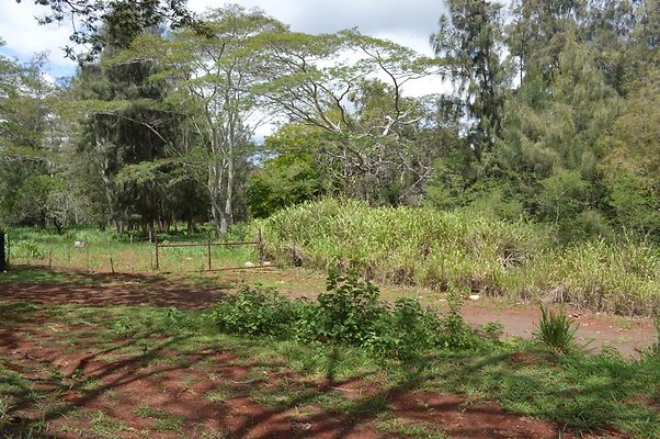 th DSC 0171 th DSC 0171