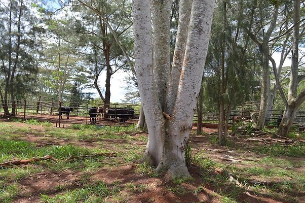 th DSC 0169 th DSC 0169