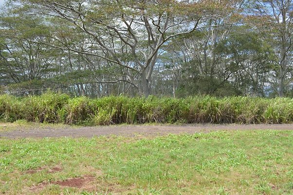 th DSC 0209 th DSC 0209