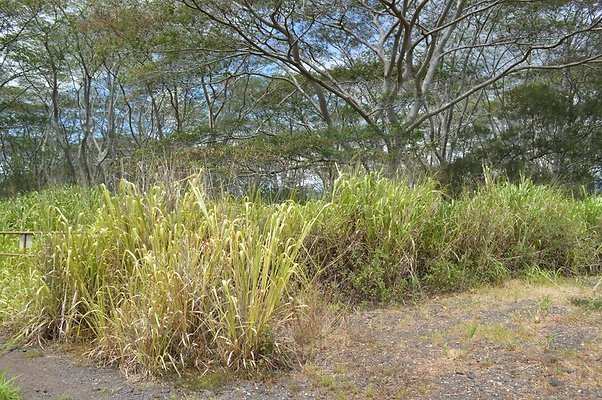 th DSC 0202 th DSC 0202