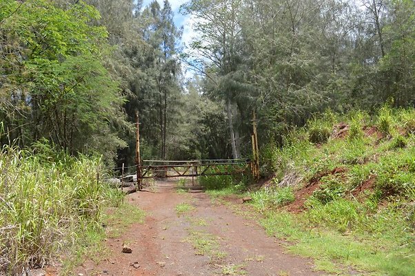 th DSC 0173 th DSC 0173