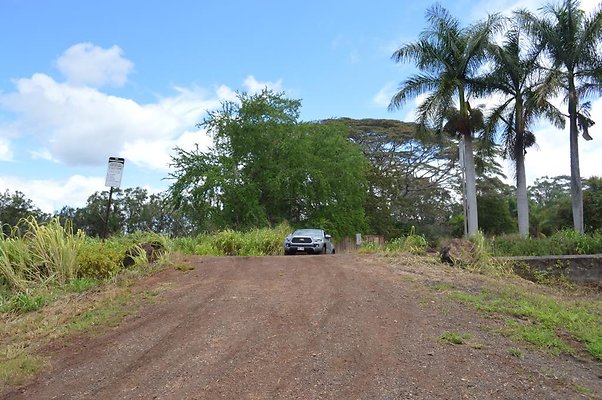 th DSC 0219 th DSC 0219