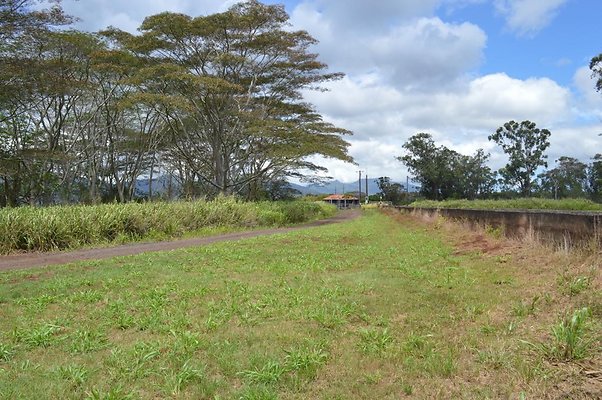 th DSC 0210 th DSC 0210