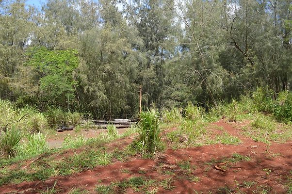 th DSC 0172 th DSC 0172