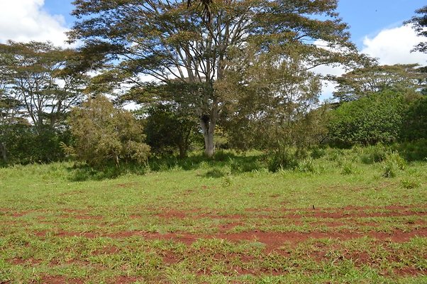 th DSC 0159 th DSC 0159