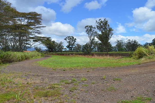 th DSC 0203 th DSC 0203