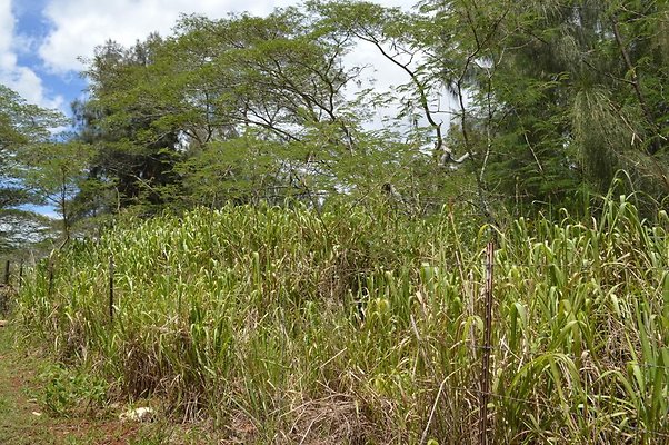 th DSC 0179 th DSC 0179