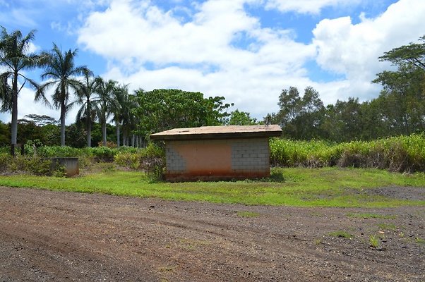 th DSC 0206 th DSC 0206