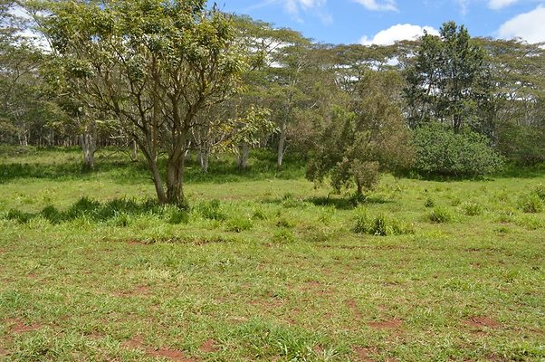 th DSC 0157 th DSC 0157