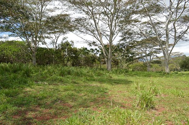 th DSC 0155 th DSC 0155