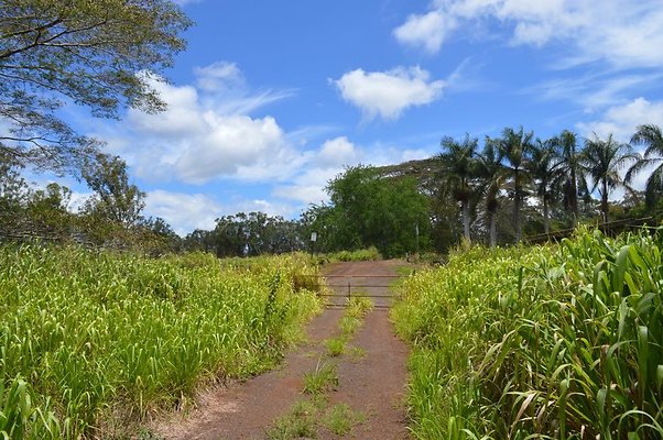 th DSC 0198b th DSC 0198b