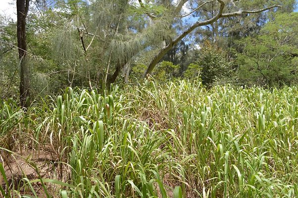 th DSC 0190 th DSC 0190