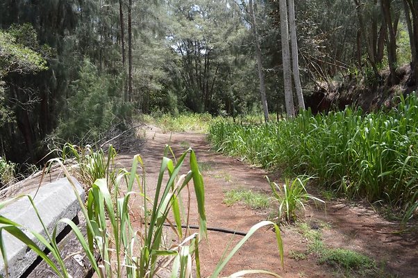 th DSC 0175 th DSC 0175