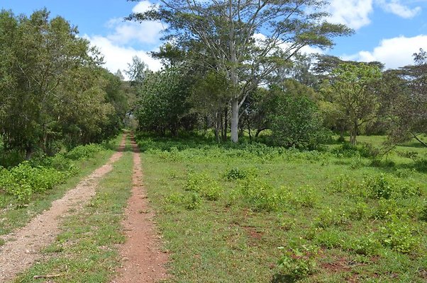 th DSC 0146 th DSC 0146