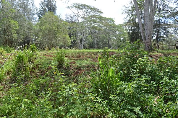 th DSC 0166 th DSC 0166