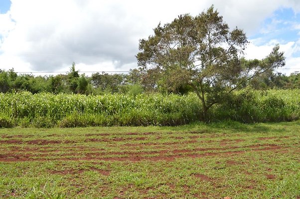 th DSC 0161 th DSC 0161