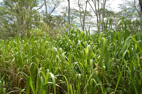 th DSC 0192 th DSC 0192